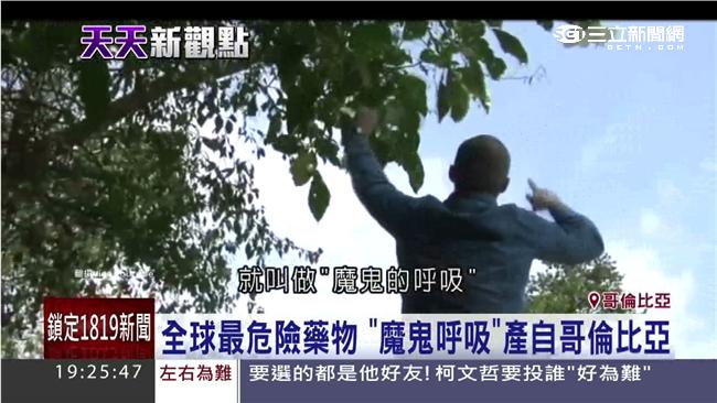 全球最毒！「魔鬼的呼吸」一吸即失神