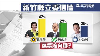 徐欣瑩改當宋副手　誰坐收漁翁之利？