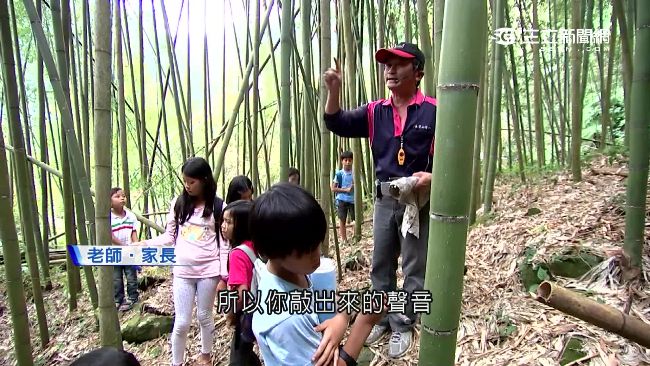 平價版森林小學　「親子共學團」正夯