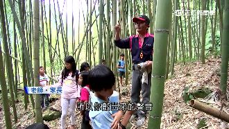 平價版森林小學　「親子共學團」正夯