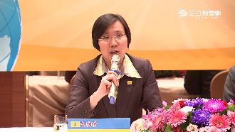 徐欣瑩談宋瑩配　重申兩黨合作非合併