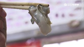 物價狂漲！東石蚵仔煎漲破70元