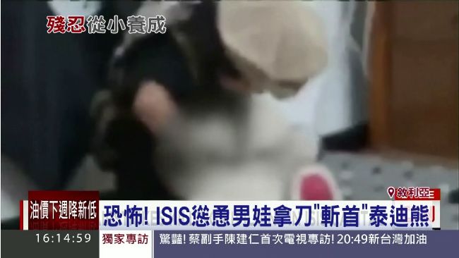 揭秘ISIS　直擊娃「斬首」泰迪熊