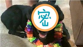 ▲圖／翻攝自Niki Beiser Umbenhower臉書