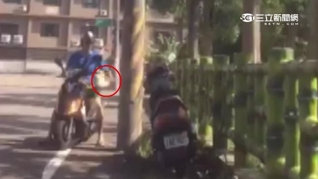 房仲小蜜蜂亂貼廣告　車牌遮半躲查緝