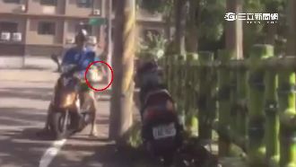 房仲小蜜蜂亂貼廣告　車牌遮半躲查緝