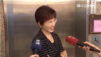 真心看好黨不分區？洪秀柱超酸回應