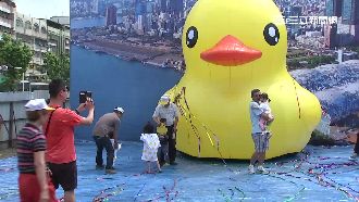 選情白熱化！綠營搬出黃色小鴨助陣