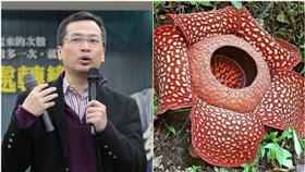 屍花,羅智強 (行政院,合成圖)