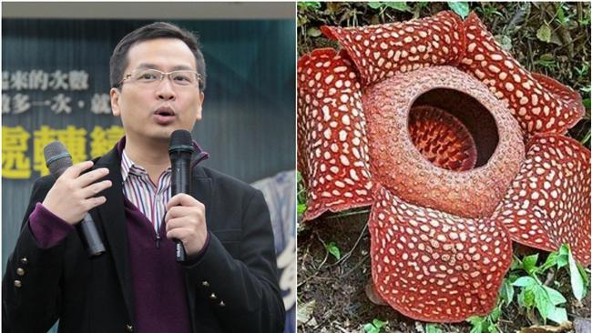 別對號入座　羅智強：屍花臭不堪聞