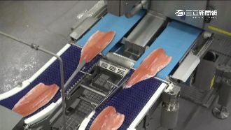 美批准基改鮭魚上市　專家憂有害健康