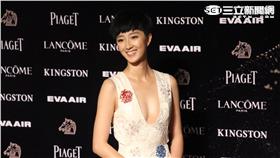 桂綸鎂,金馬52星光大道-范庭瑄攝影