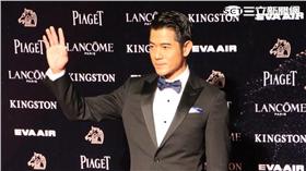 華麗上班族,金馬52星光大道-范庭瑄攝影