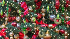 聖誕禮物(圖／攝影者Bert Kaufmann, flickr CC License)
https://www.flickr.com/photos/22746515@N02/8302245533/in/photolist-dDDbmn-7mgTZ8-5CHVmS-5CzCU3-cmMLL7-8T26Yq-iumPTC-iumMZs-iunndt-iumQV7-iumZji-iumpvP-iumovn-iumzpq-iumycf-iumWLf-iw7mok-iunbGw-iumCCa-iumEiJ-iumCYj-iumBCy-iun4TD-iuniba-4fG93r-q8HEai-iDKvQw-iums7E-iAnbFm-iumFvd-iDMUB1-iDMWKu-qfHZe9-iAnLf4-izS9N1-qfzAjB-iAnce5-iAmZKp-iAndDQ-iDHPwZ-bxBnqU-bLw4HX-bLw4Ar-iw6R76-4fG9qZ-4fL8NC-iMmw34-iMmvYB-iMqyCY-iMnNh4