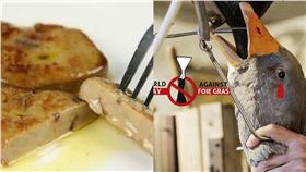 鵝,鴨,鵝肝,鴨肝,動保▲圖／翻攝自So-net、食物知情權臉書