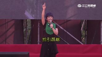 不分區沒余天　綠搶詹雅雯歌后吸票