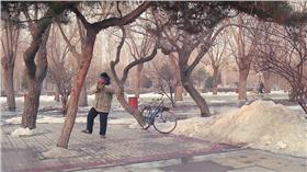 冬天,下雪 ▲圖／攝影者睿 薛, flickr CC License