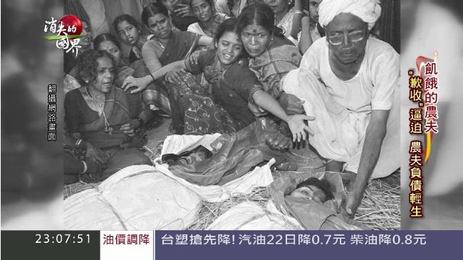 基改棉花神話破滅　農夫成悲劇主角
