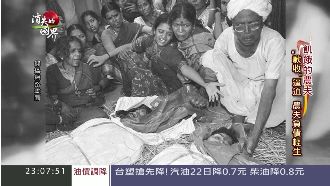 基改棉花神話破滅　農夫成悲劇主角