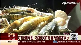 毒腸彊屍蝦1600 框