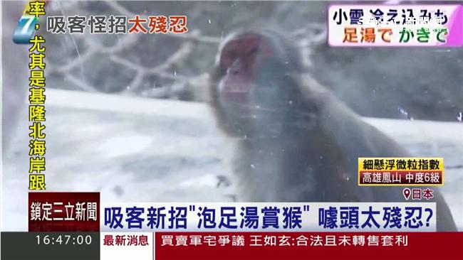 北海道攬客怪招多　泡湯賞猴引爭議