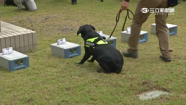 大選維安升級！偵爆犬、防暴網槍出動