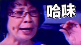 哈味,哈密瓜,哈味大嬸／翻攝自YouTube