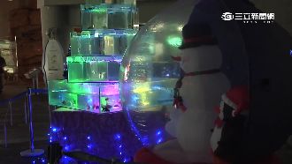 全台首座「水族耶誕樹」下場竟是…