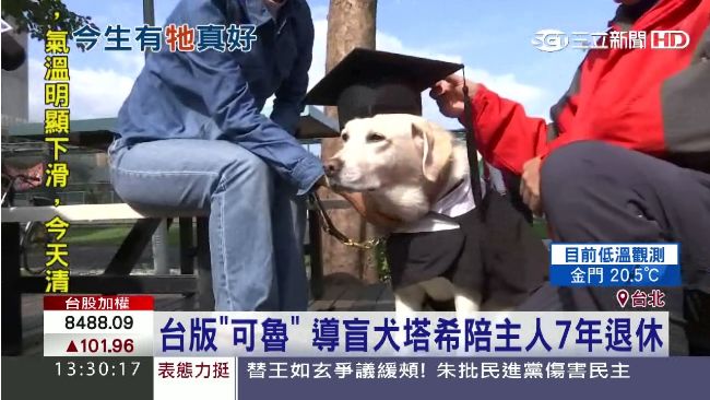 「台版可魯」台科大導盲犬塔希畢業了