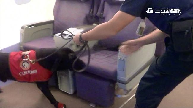 IS點名台灣　桃機出動「偵爆犬」