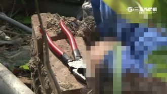 慘！吊車鋼索甩飛割頸　工人身首異處
