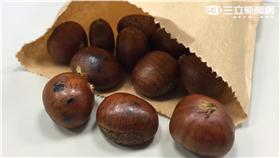 栗子　范樺沂攝影