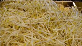 豆芽菜
（圖／Open Grid Scheduler,flickr CC License）