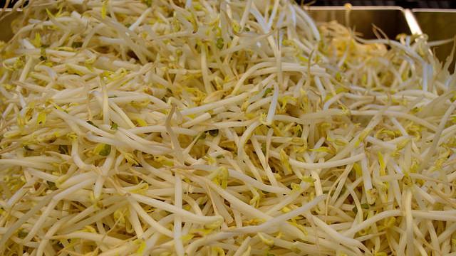 清明節吃潤餅 她在家發豆芽菜浴室竟變 大草原 驚呆 生活 三立新聞網setn Com