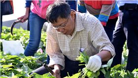 柯文哲到社子島/圖截自台北市政府