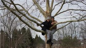 王力宏　翻攝自微博