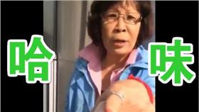 哈味姊,哈密瓜,哈味▲圖／翻攝自爆料公社臉書