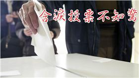 鬼島夢想家,含淚,投票,全面真軍▲圖／達志影像