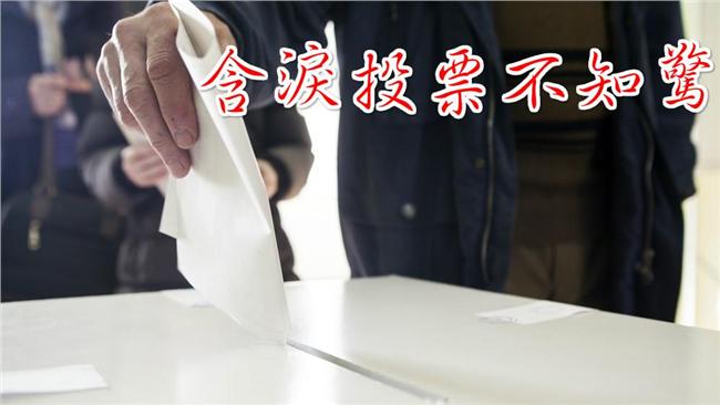 「含淚投票不知驚」翻紅　網友：神曲