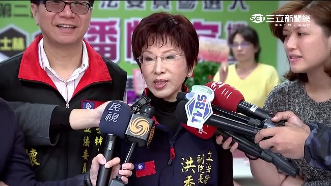 洪秀柱催票：支持我，票就投給「他」