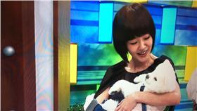 小Ｓ
翻攝康熙來了臉書
