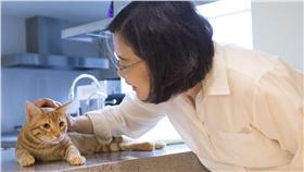 蔡英文　圖／翻攝自蔡英文臉書