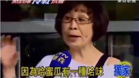 哈味 圖/翻攝自哈味臉書