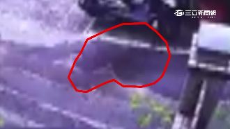 鬼影爬樓梯　監視器驚見「動物靈」
