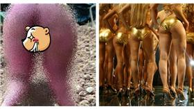 辣腿／合成圖，翻攝自Daily mail，圖／路透社／達志影像