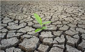 全球暖化,氣候變遷,二氧化碳▲圖／達志影像