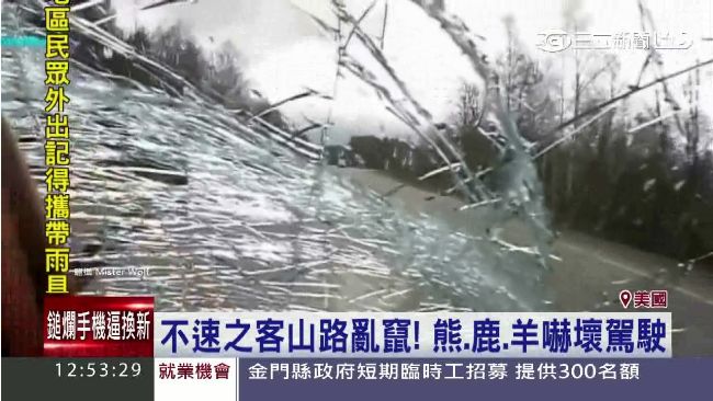 駕駛撞上不速之客怎麼辦？專家告訴你