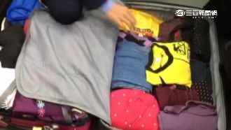 收納達人？女挾帶1660萬現金闖關