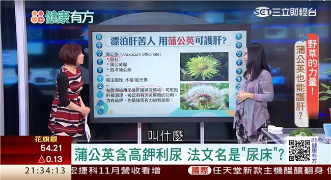 老外藥燉排骨不一樣！用蒲公英入菜？