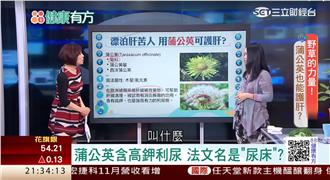 老外藥燉排骨不一樣！用蒲公英入菜？